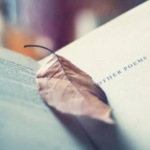 冯唐:诗不会失去流传的意义