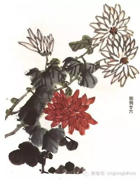 怎样画菊(国画菊花技法)