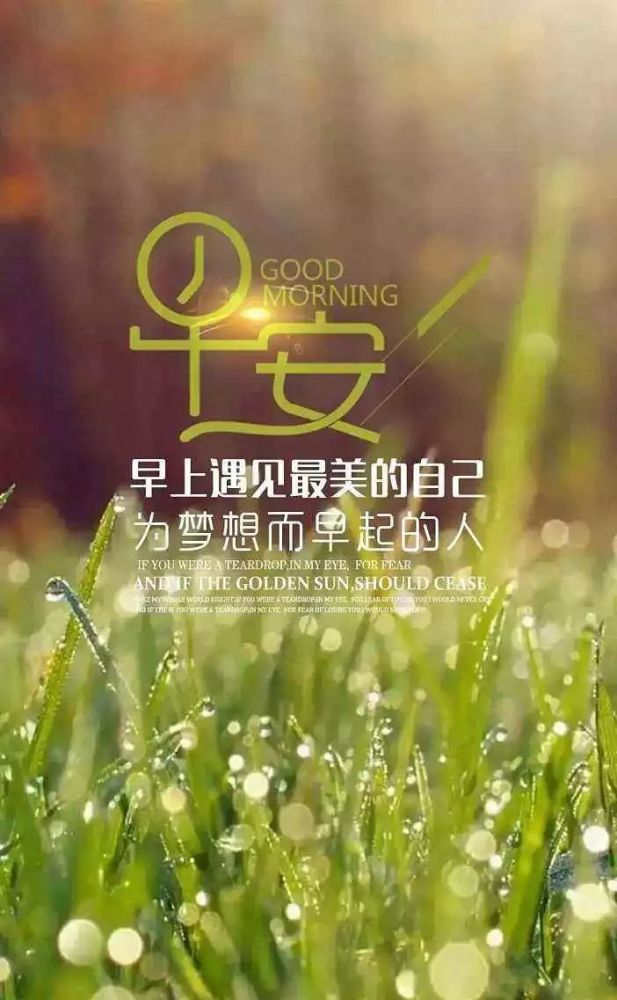 清晨充满阳光的一段正能量