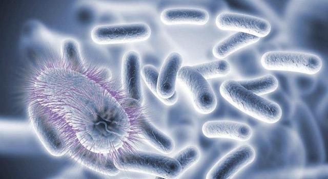 人类观察到微生物不到400年时间，但它们已经生活了35亿年