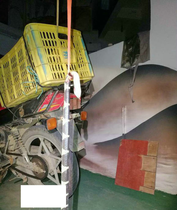 毒蛇喂狗?男子钓鱼,打死剧毒银环蛇,竟给狗吃