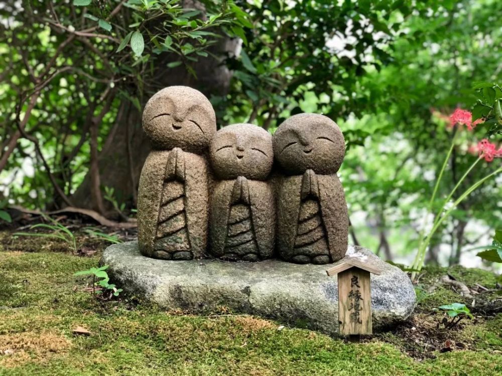 我们采访了十个程序员,他们在看的书是…