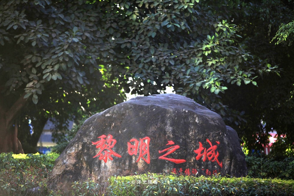 中国最大的榕树,树冠面积覆盖超过9.2亩,接近一