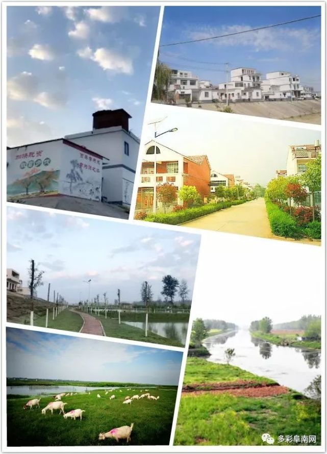 安徽阜南王家坝国家湿地公园