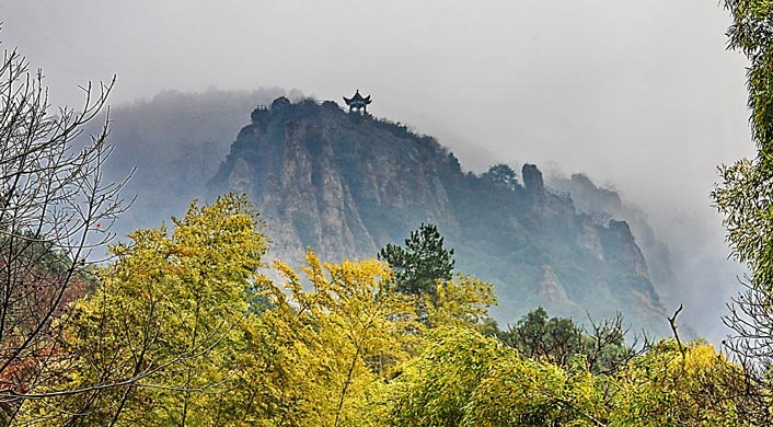 安徽马仁奇峰森林aaaa景区