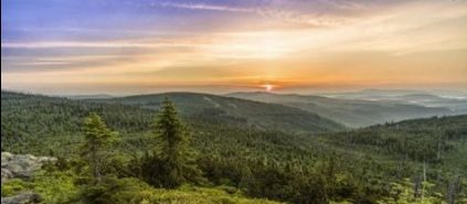 各大专业就业方向及前景揭秘,高考生必备