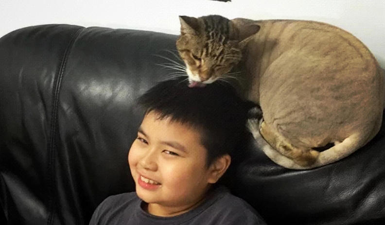 小宝跪地抬头求宠幸,猫咪亲完头晕脑胀一巴掌