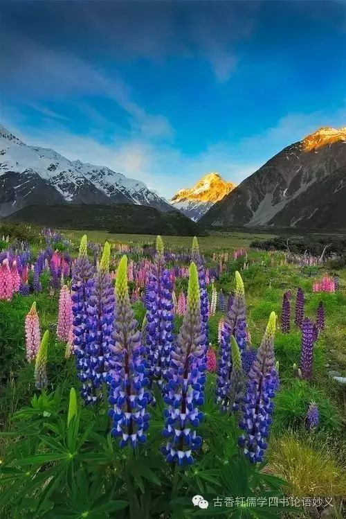 儒学现代化:二说唯小人与女子难养