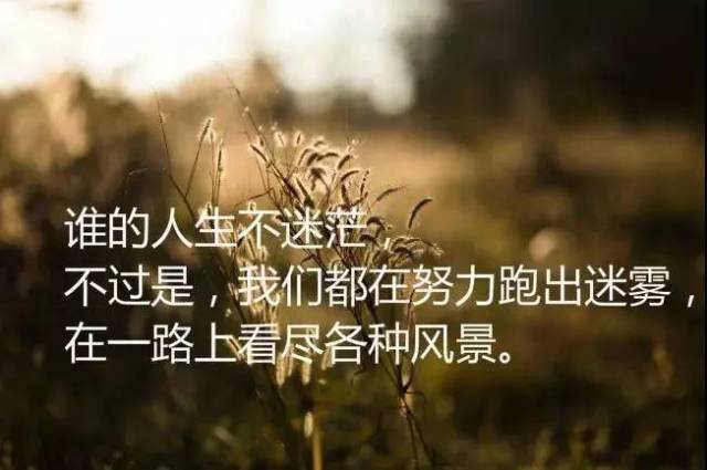 人生感悟20句:触动人心的哲理经典语句,句句入心