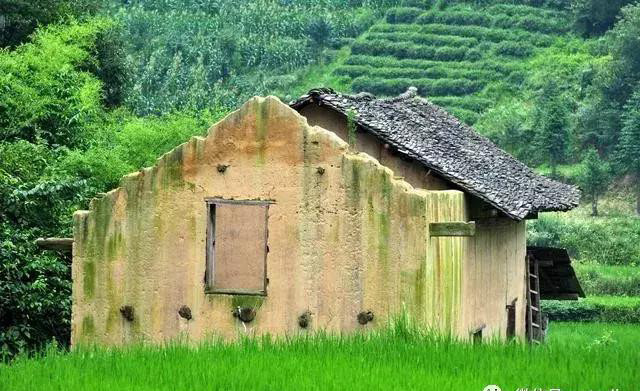 擅自在耕地上建房会被强制拆除甚至还要罚款 