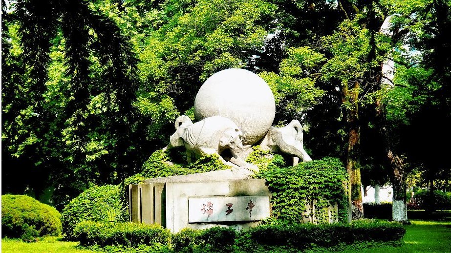 这所大学曾被河南放弃,南迁后迅速发展,现如