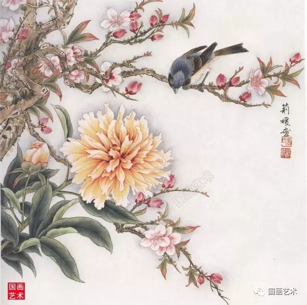 图文教程:工笔芍药画法步骤与白描画稿