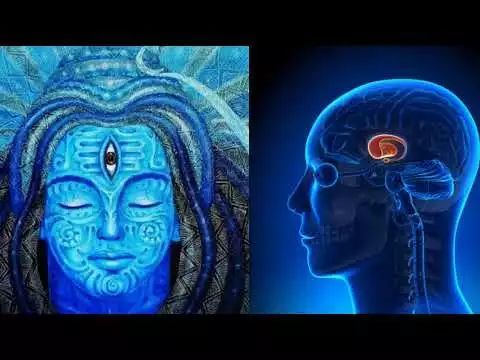 什么?原来我们都有「 第三只眼」?!| 你不知道