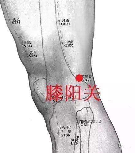 膝阳关利关节祛风湿止痛