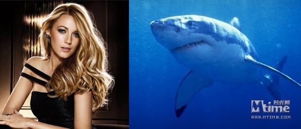 布蕾克·莱弗利或演“鲨鱼”电影 与索尼影业洽谈中