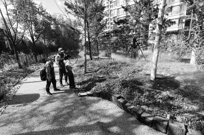 西城区广外第二座城市森林逸清园开园