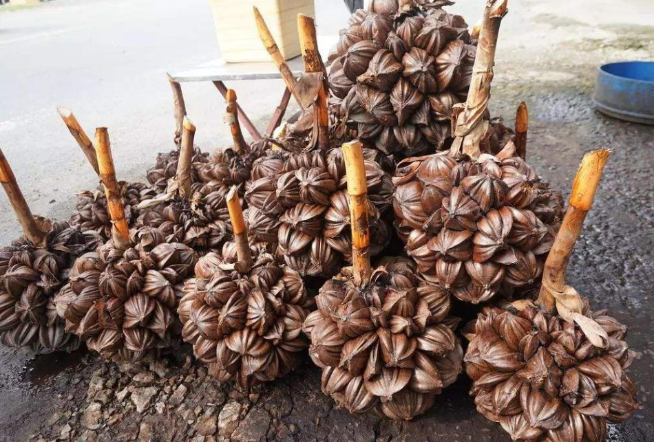 这种水果中国人看都不想看,国庆小长假被外国