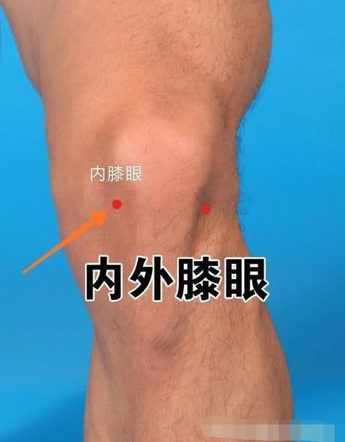 三,外膝眼穴:与内膝眼穴相对在膝盖外侧,主治关节炎,膝盖酸痛,蹲不