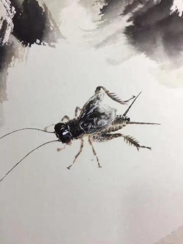 工笔蟋蟀,见过最精致入微的蟋蟀泛起童年记忆,你的童年斗蟋蟀吗