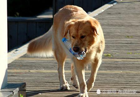 熊孩子在马路乱扔垃圾家长却视而不见,旁边金