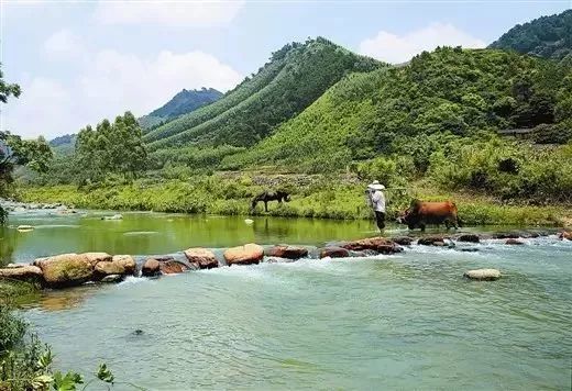 haoge影像 笔山村山清水秀,空气清新,林木苍翠欲滴,鸟语花香