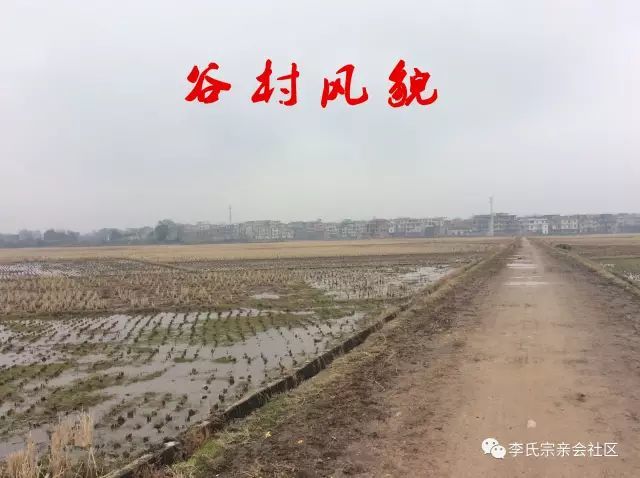 盘谷镇人口_人口普查(3)