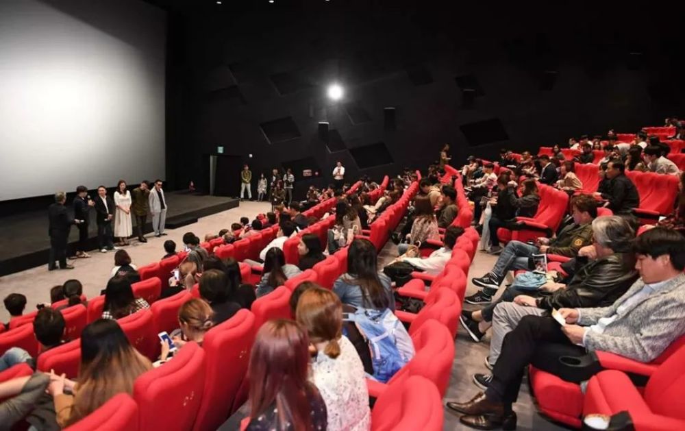 如何假装自己在釜山国际电影节看电影?