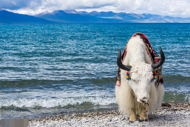 中国面积最大的3个省,加起来 占了半个中国!