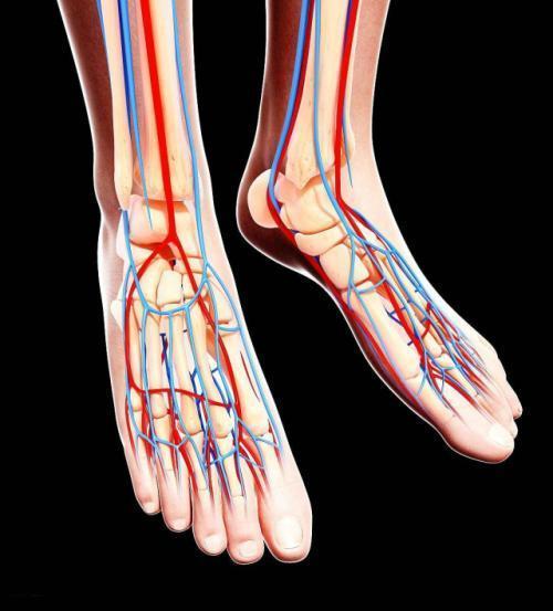 血管好不好看脚,若脚上没有这3个症状,那血液还算通畅