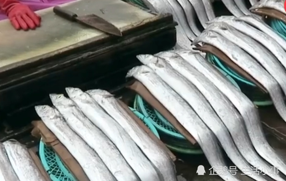 为什么在市面上几乎见不到活的带鱼?网友:这你