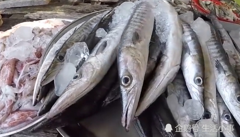 为什么在市面上几乎见不到活的带鱼?网友:这你
