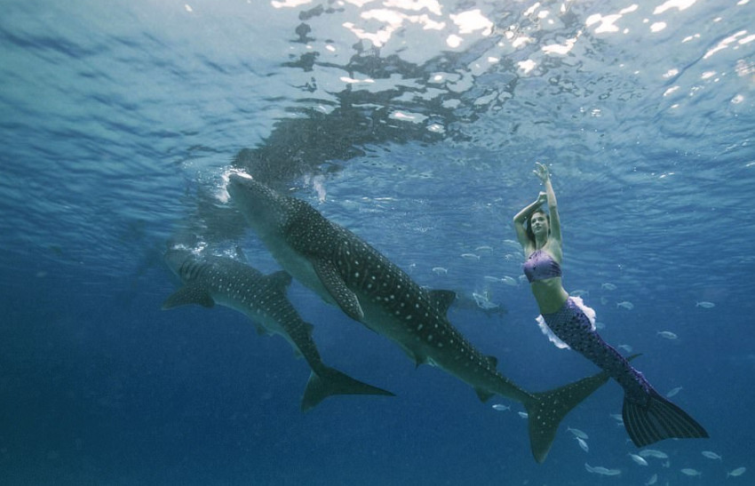 人类怎么做才能在水里呼吸?科学家:具备这两项