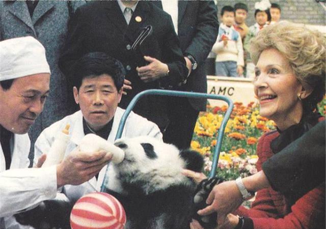 老照片:1984年美国总统里根访华,夫人最爱大熊猫