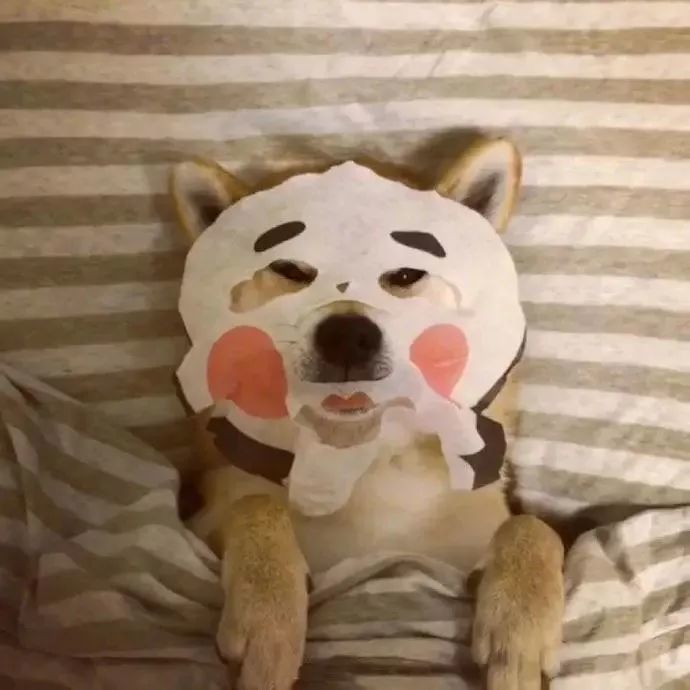 个性动漫丨萌宠丨闺蜜头像