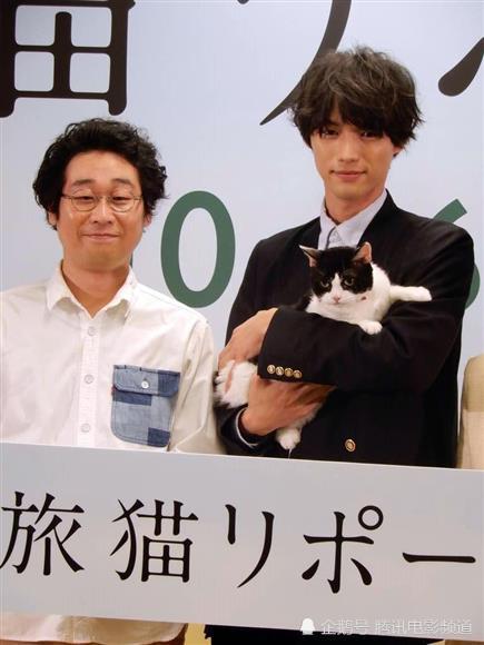 福士苍汰宣传《旅猫日记》与小猫关系亲密 自曝跟猫一样傲娇