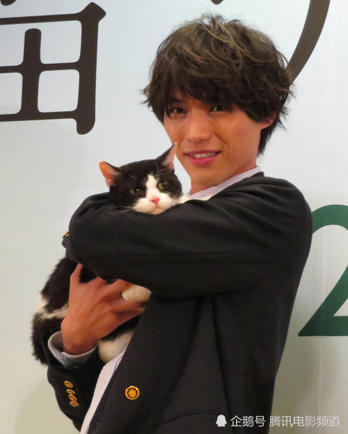 福士苍汰宣传《旅猫日记》与小猫关系亲密 自