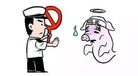 买卖人口宰杀_宰杀前注水每头猪增 肉 50斤(3)
