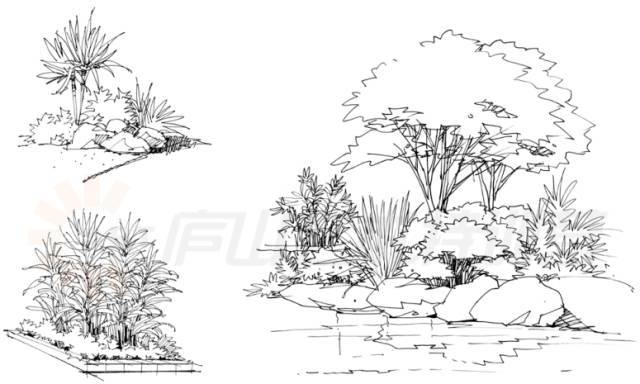 庭院景观手绘基本技法,从此开启一项全新的设计表达