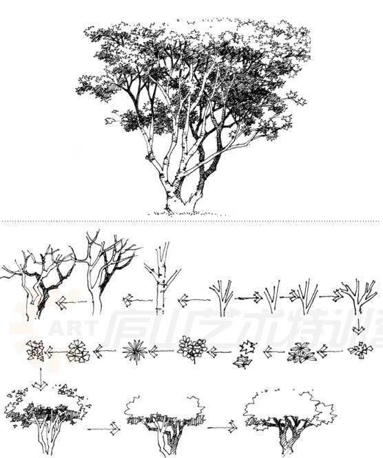 庭院景观手绘基本技法,从此开启一项全新的设计表达