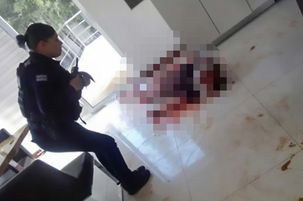 男子把狮子老虎当宠物养 举办奢华派对时被咬