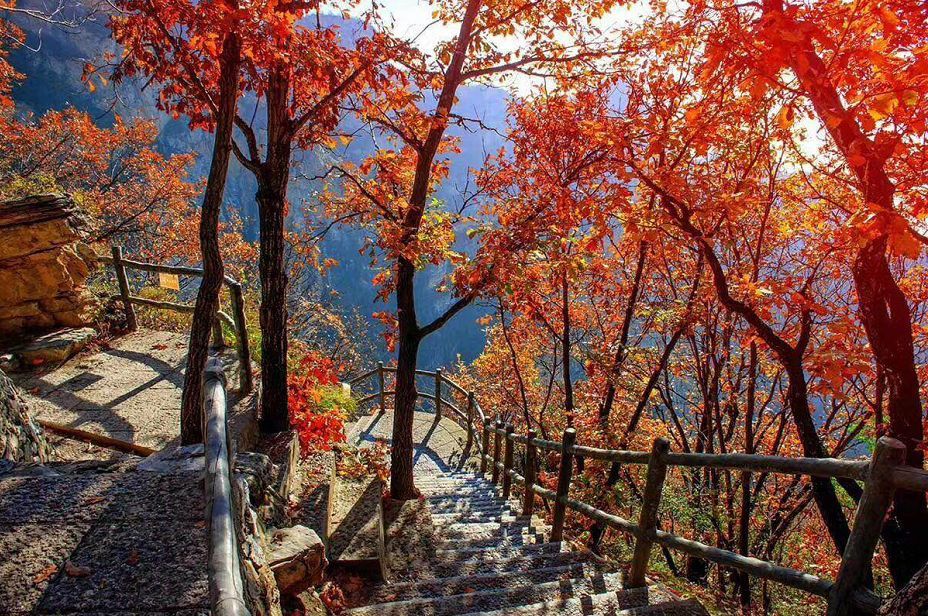 音乐高山流水古筝曲谱(3)