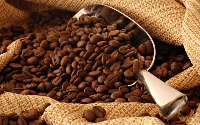 1830年建国,全国80万人的委内瑞拉全靠卖咖啡