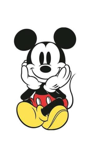 代表人物形象米奇是大家耳熟能详的卡通人物,它的另一称呼为米老鼠