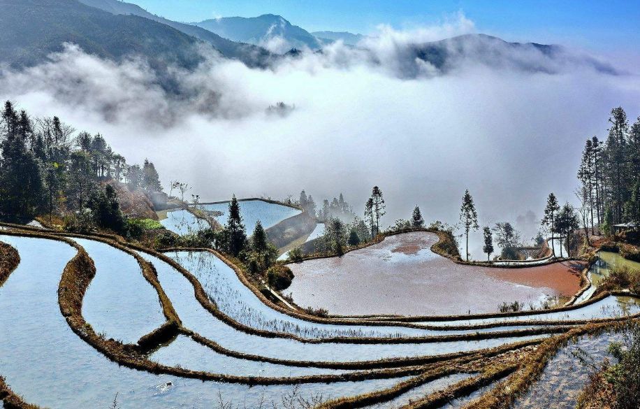 云南旅游去年gdp_云南旅游图片