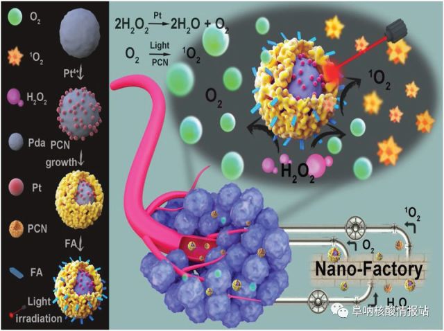 张先正:多功能铂基核壳纳米平台作为提高肿瘤治疗效率的纳米工厂