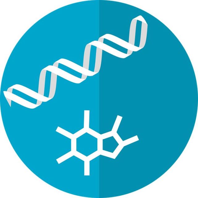 代谢组学活性筛选:鉴定调控表型的代谢物