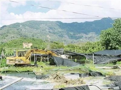 诏安县红星乡庙兜村有多少人口_诏安县西潭乡湖美村