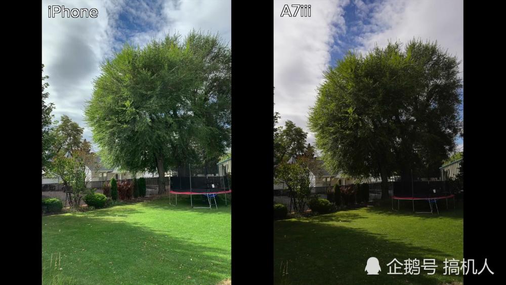 iPhone XS挑战单反相机索尼A7III:这差距有点吓