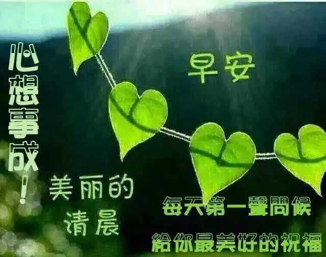 8月20日问候早上好图片带字动态表情早上好图片问候祝福语句子