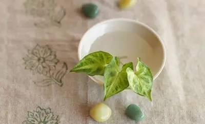 太强了,小学生多音字一句话总结!留着教孩子~